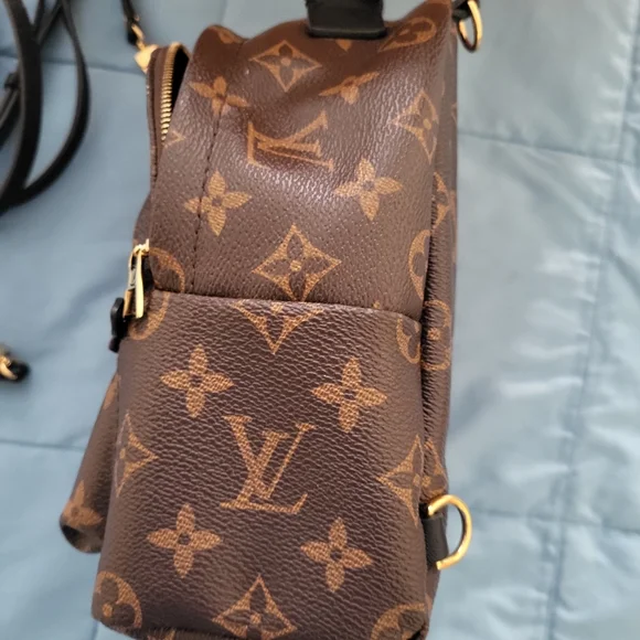 Louis Vuitton Palm SPRINGS Mini Brown Monogram Backpack - Picture 8 of 15